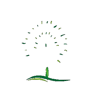 tree animation